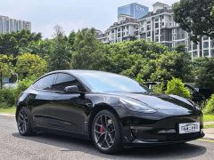 Tesla Model 3 2022 Performance All-Wheel Drive - ფოტო 3