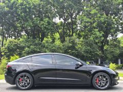Tesla Model 3 2022 Performance All-Wheel Drive - ფოტო 4