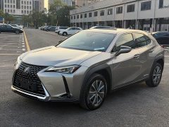 Lexus UX New Energy 2020 300e Pure Joy Edition - ფოტო 1