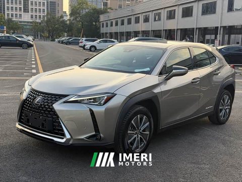 2022 Lexus UX New Energy 2020 300e Pure Joy Edition - ავტომობილი ჩინეთიდან
