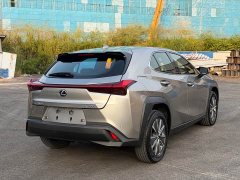 Lexus UX New Energy 2020 300e Pure Joy Edition - ფოტო 13