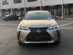 Lexus UX New Energy 2020 300e Pure Joy Edition - ფოტო 2