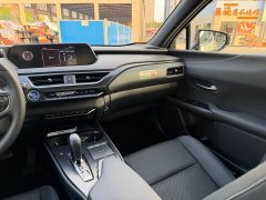 Lexus UX New Energy 2020 300e Pure Joy Edition - ფოტო 8