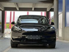Tesla Model Y Long Range All-Wheel Drive - ფოტო 1