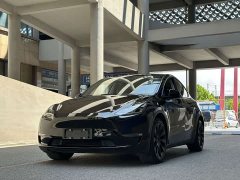 Tesla Model Y Long Range All-Wheel Drive - ფოტო 2