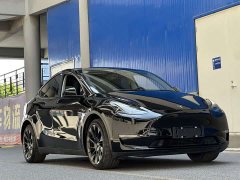 Tesla Model Y Long Range All-Wheel Drive - ფოტო 3