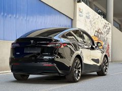 Tesla Model Y Long Range All-Wheel Drive - ფოტო 9