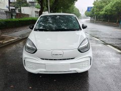 SAIC Corey Wei CLEVER 302km New Four-Seat Super Version - ფოტო 1