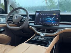 Denza D9 2022 DM-i 970 AWD Flagship - ფოტო 14