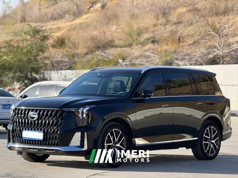 2022 GAC Aion GS8 Dual Engine 2.0T M Two-Wheel Drive Luxury Edition (7-Seater) - ავტომობილი ჩინეთიდან
