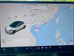 Tesla Model 3 Standard Range RWD Upgrade - ფოტო 19