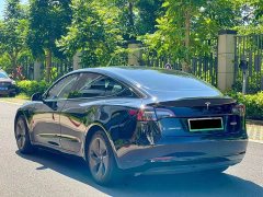 Tesla Model 3 Standard Range RWD Upgrade - ფოტო 7