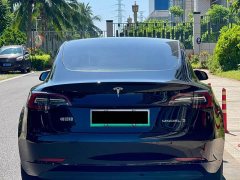 Tesla Model 3 Standard Range RWD Upgrade - ფოტო 8