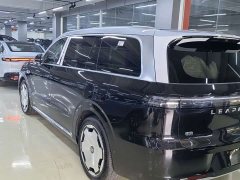 Leapmotor D19 Extended Range 500 Deluxe Edition Six-Seater - ფოტო 3