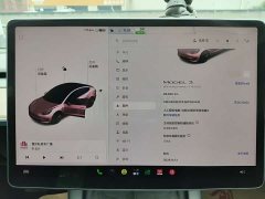 Tesla Model 3 Standard Range RWD Upgrade - ფოტო 9
