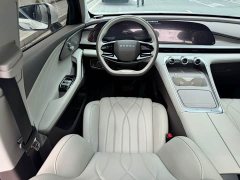 Changan Yaoguang C-DM Global Edition 120 Extended Range FWD - ფოტო 13