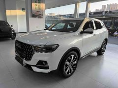 Haval H6 2023 National Trend Edition 1.5T Automatic Champion Version - ფოტო 1