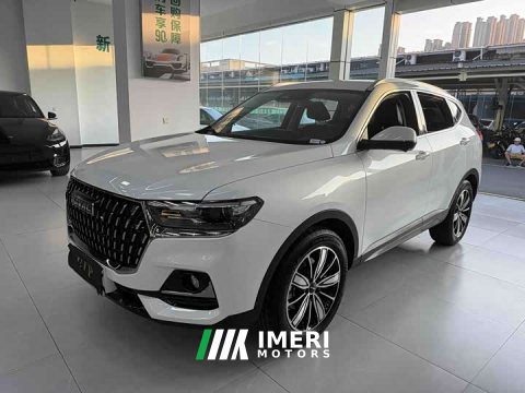 2024 Haval H6 2023 National Trend Edition 1.5T Automatic Champion Version - ავტომობილი ჩინეთიდან