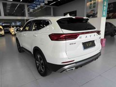 Haval H6 2023 National Trend Edition 1.5T Automatic Champion Version - ფოტო 11
