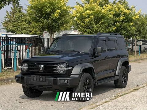 2022 Tank 300 2021 Off-Road Edition 2.0T Conqueror - ავტომობილი ჩინეთიდან