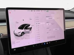 Tesla Model Y 2022 Facelift Rear-Wheel Drive - ფოტო 13