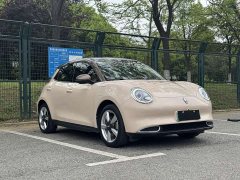 ORA Good Cat 400km Standard Range Venus Edition LFP Battery - ფოტო 3