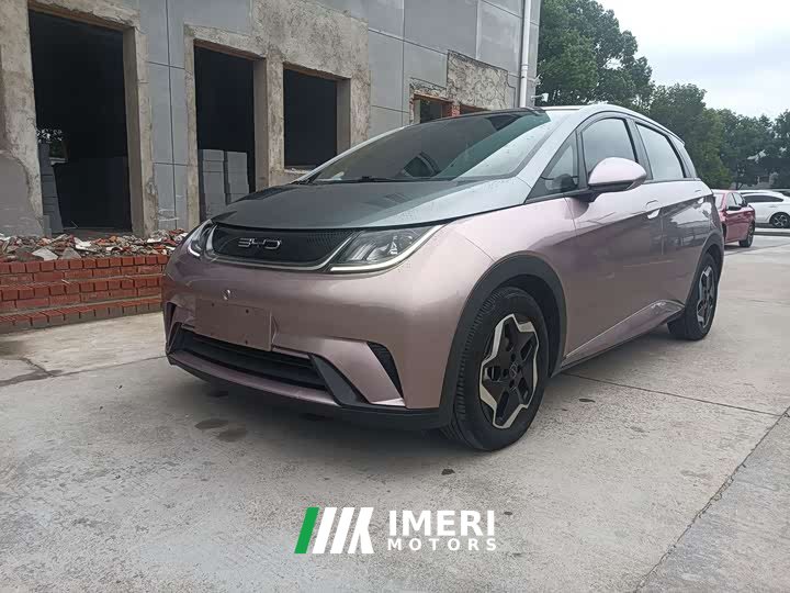 BYD Dolphin 405km Fashion Edition - ავტომობილი ჩინეთიდან