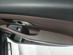 BMW 3 Series 320Li M Sport Package - ფოტო 14