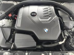 BMW 3 Series 320Li M Sport Package - ფოტო 18