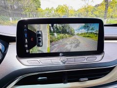 Buick GL8 Land Executive Cabin 652T Luxury - ფოტო 12