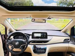 Buick GL8 Land Executive Cabin 652T Luxury - ფოტო 13