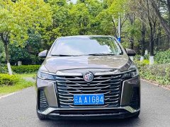 Buick GL8 Land Executive Cabin 652T Luxury - ფოტო 2