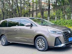 Buick GL8 Land Executive Cabin 652T Luxury - ფოტო 3