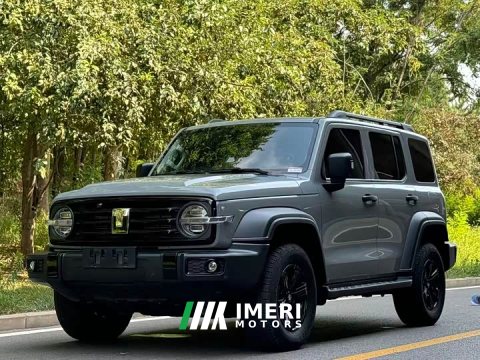 2025 Tank 300 2024 2.0T Challenger - ავტომობილი ჩინეთიდან