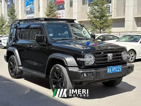 2024 Tank 300 2.0T Conqueror - ავტომობილი ჩინეთიდან