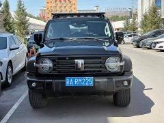 Tank 300 2.0T Conqueror - ფოტო 2