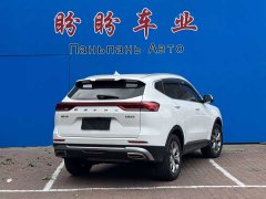 Haval H6 2021 National Trend Edition 1.5T Automatic Urban Version - ფოტო 13