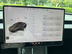Tesla Model 3 Rear-Wheel Drive - ფოტო 10