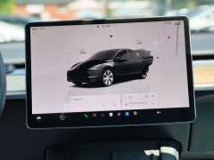 Tesla Model Y Long Range All-Wheel Drive - ფოტო 8