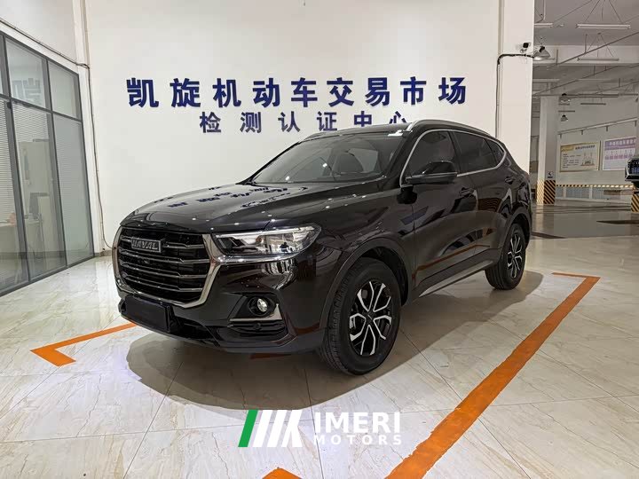 Haval H6 2021 National Trend Edition 1.5T Automatic Urban Version - ავტომობილი ჩინეთიდან