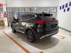 Haval H6 2021 National Trend Edition 1.5T Automatic Urban Version - ფოტო 6