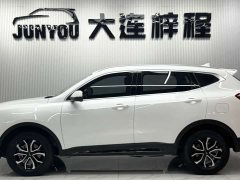 Haval H6 National Trend Edition 1.5T Automatic Urban Version - ფოტო 8