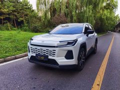 Toyota Wildland 2.5L Intelligent Hybrid Dual-Motor AWD MAX - ფოტო 1