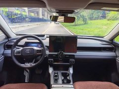 Toyota Wildland 2.5L Intelligent Hybrid Dual-Motor AWD MAX - ფოტო 9
