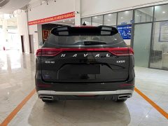 Haval H6 National Trend Edition 1.5T Automatic Urban Version - ფოტო 5