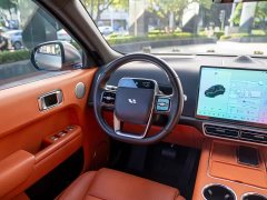 Li Auto L9 2022 Max - ფოტო 18