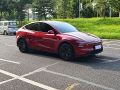 Tesla Model Y Rear-Wheel Drive - ფოტო 3
