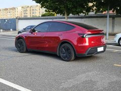 Tesla Model Y Rear-Wheel Drive - ფოტო 6
