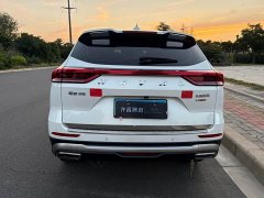 Haval H6 National Trend Edition 1.5T Automatic Champion Version - ფოტო 6