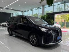 Buick GL8 ES Luxun Luxury Edition - ფოტო 3